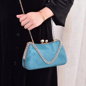 chain-handbags-fashion-luxury-dress